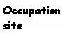 Text Box: Occupation
site